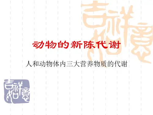 动物的新陈代谢