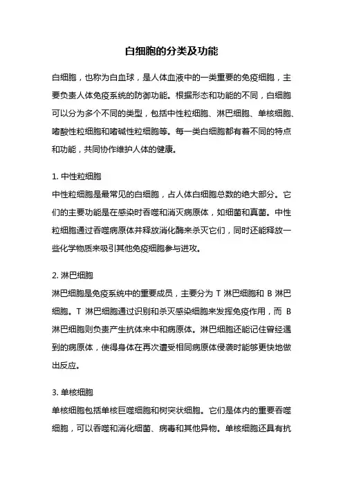 白细胞的分类及功能