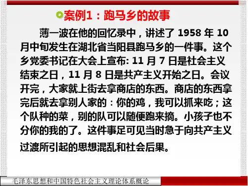 毛概第五章PPT.