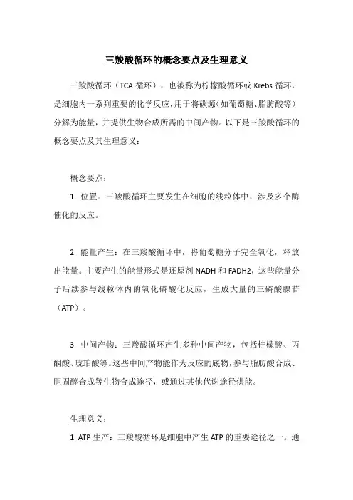 三羧酸循环的概念要点及生理意义