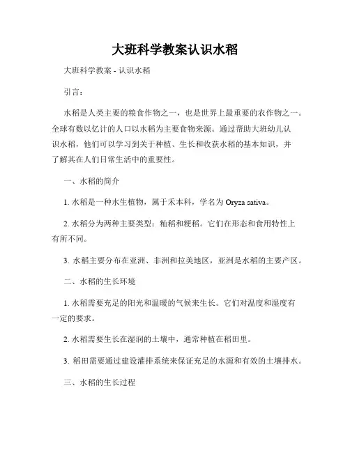 大班科学教案认识水稻