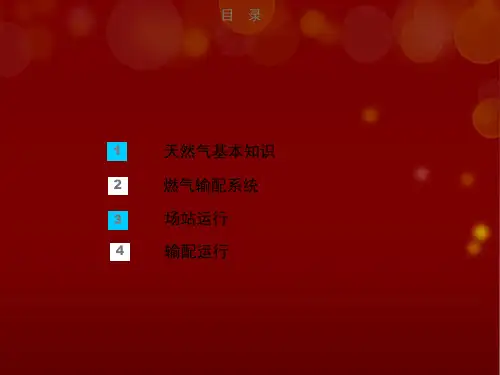 燃气输配运行与场站管理ppt课件