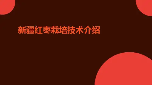 新疆红枣栽培技术介绍