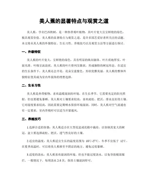 美人蕉的显著特点与观赏之道