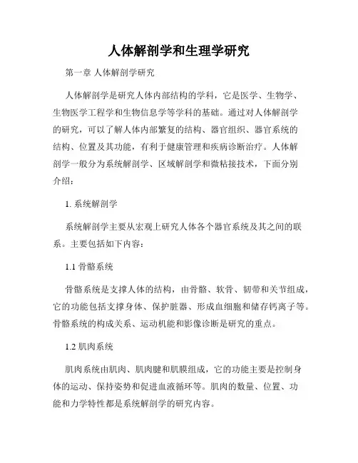 人体解剖学和生理学研究