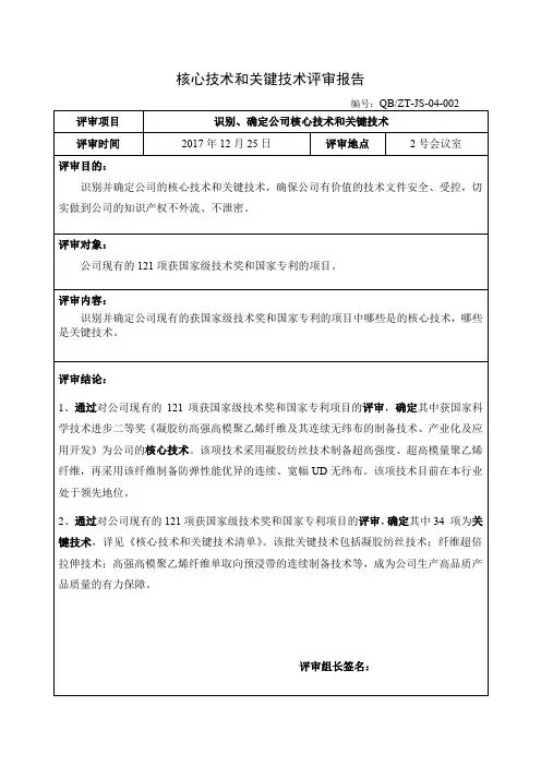 核心技术和关键技术评审报告