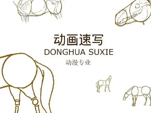 动画速写 第一章1