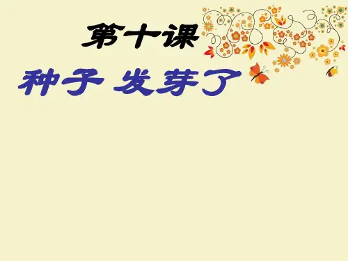 【优质课PPT】【名师推荐】最新版三年级科学下册《种子发芽了》优质课课件1