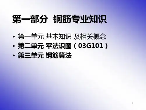 梁柱板钢筋平法标注图解详解版PPT课件