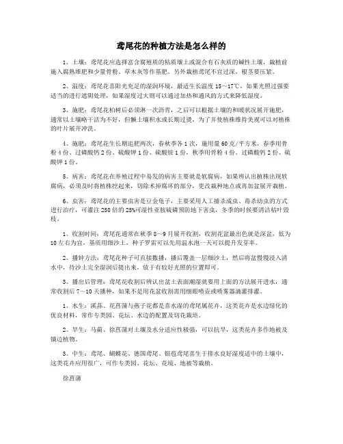 鸢尾花的种植方法是怎么样的