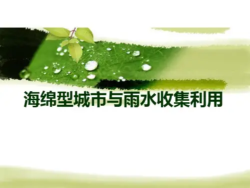 海绵型城市与雨水收集利用系统