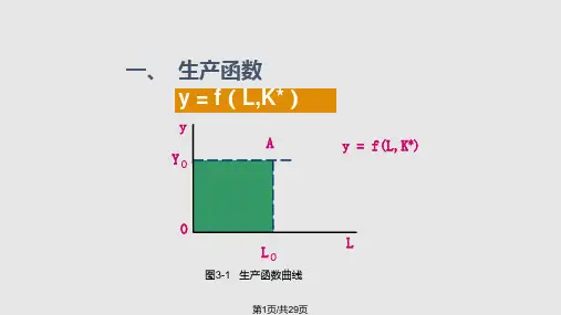古典宏观经济模型PPT课件