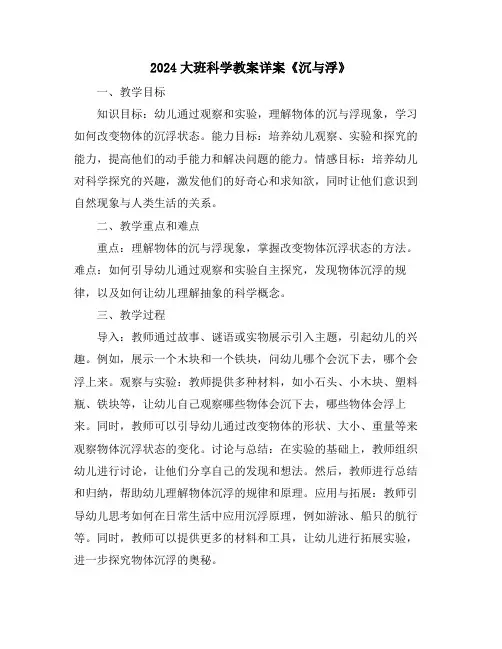 2024大班科学教案详案《沉与浮》
