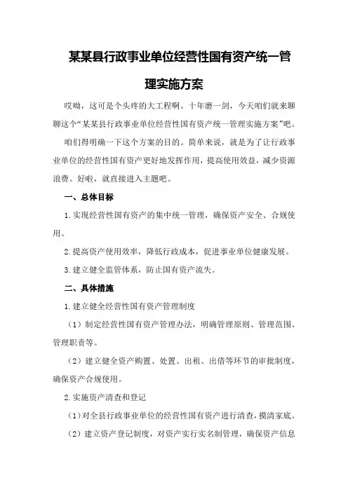 某某县行政事业单位经营性国有资产统一管理实施方案