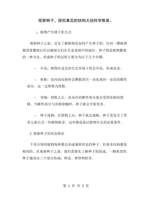 观察种子,探究真实的结构大班科学教案