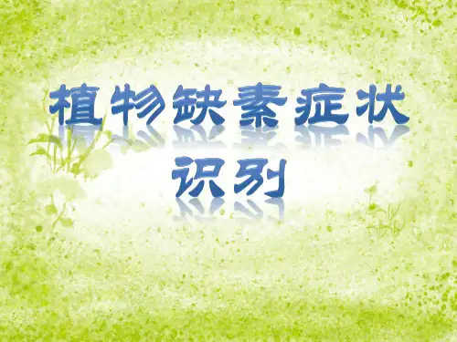 植物缺素症状识别
