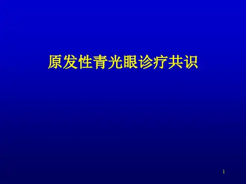 原发性青光眼诊疗共识ppt课件