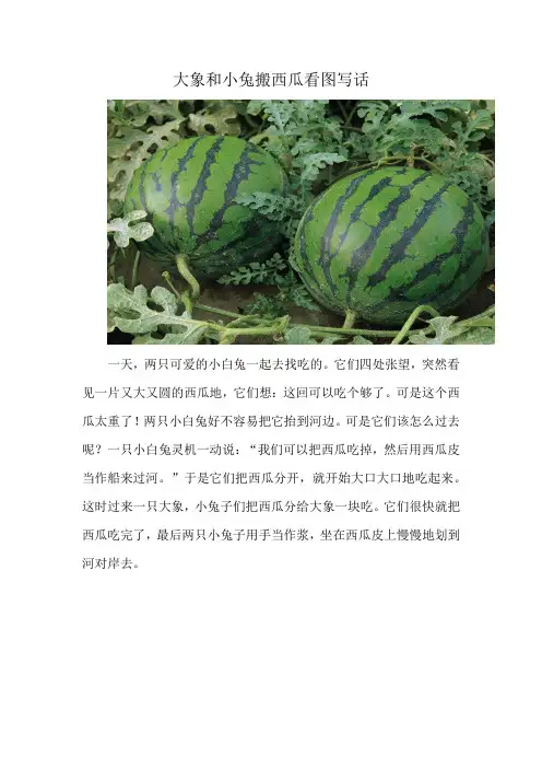 大象和小兔搬西瓜看图写话