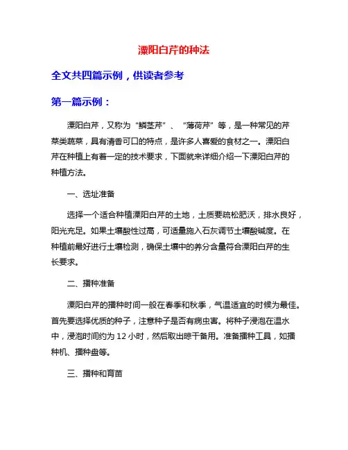 潥阳白芹的种法