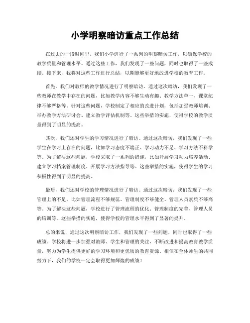 小学明察暗访重点工作总结