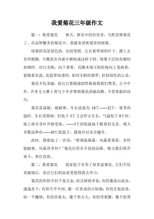 我爱菊花三年级作文