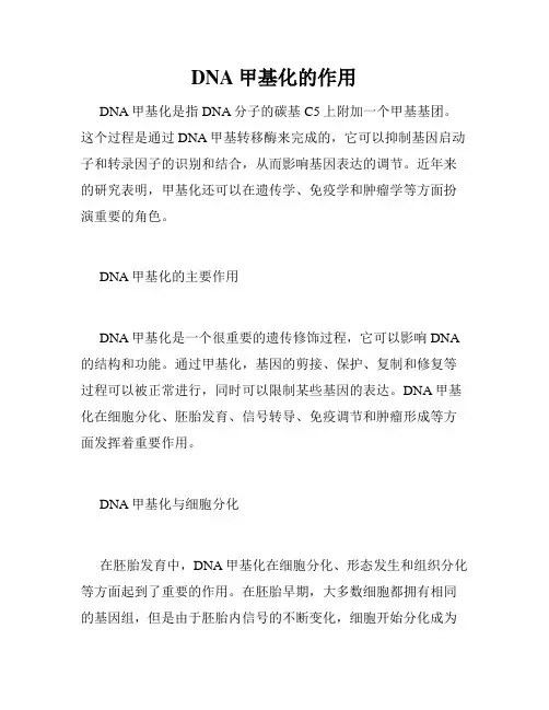 DNA甲基化的作用