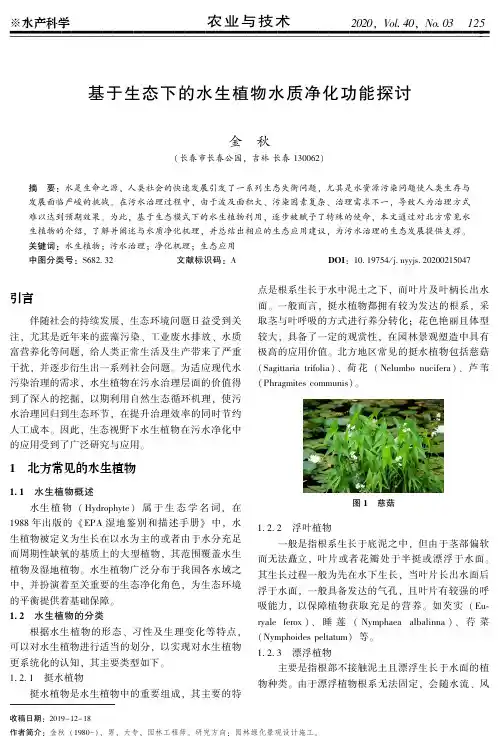 基于生态下的水生植物水质净化功能探讨