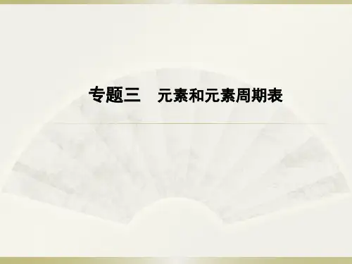人教版初中化学中考复习——专题三   元素和元素周期表