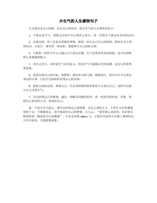 少生气的人生感悟句子