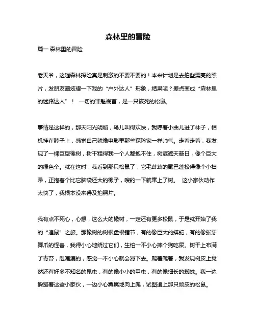 作文《森林里的冒险》