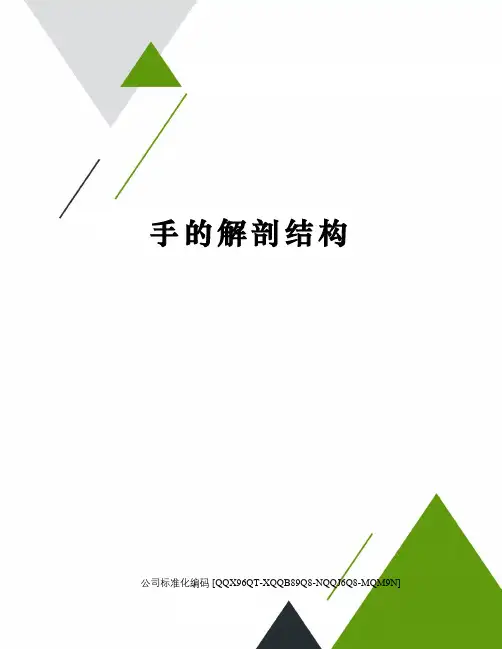 手的解剖结构