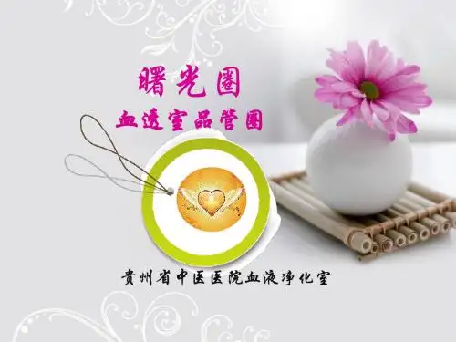 贵阳中医一附院血透室品管圈