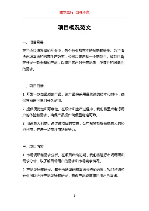 项目概况范文