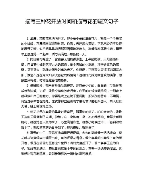 描写三种花开放时间和描写花的短文句子