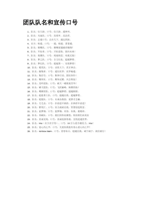 团队队名和宣传口号