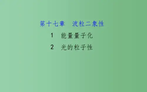 高中物理 17.1-17.2能量量子化 光的粒子性(精讲优练课型) 新人教版选修3-5