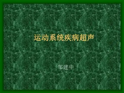 运动系统疾病超声