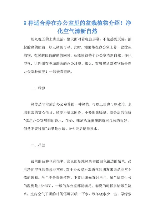 9种适合养在办公室里的盆栽植物介绍!净化空气清新自然