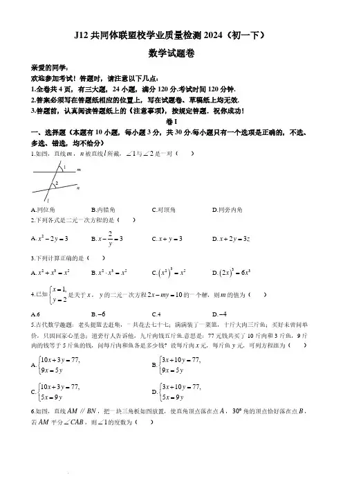 浙江J12共同体联盟2024年下学期七年级数学期中试题+答案