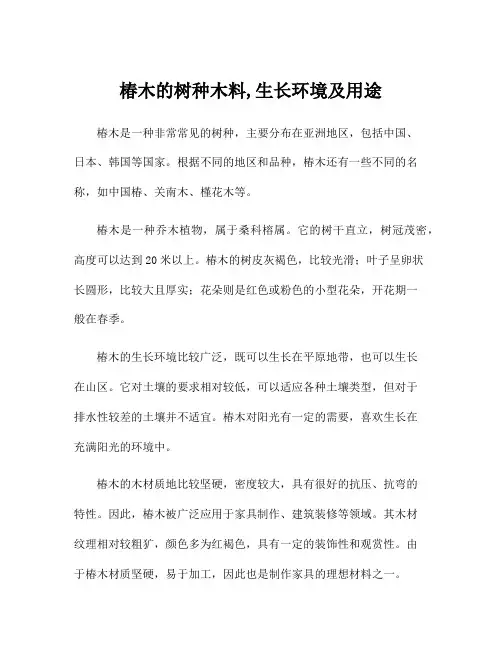 椿木的树种木料,生长环境及用途