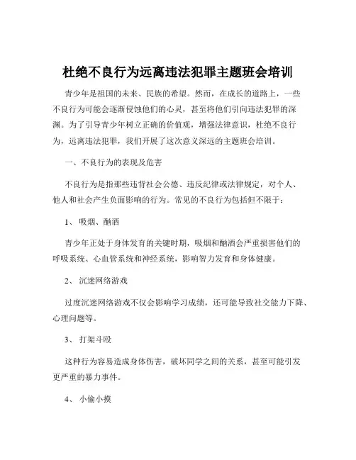 杜绝不良行为远离违法犯罪主题班会培训