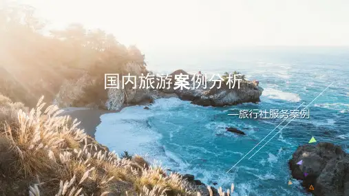 国内旅游案例分析PPT课件-旅行社服务案例