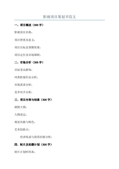 影视项目策划书范文