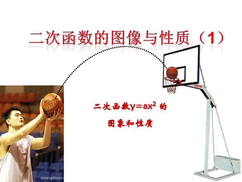 2.二次函数的图像与性质北师大PPT课件(北师大版)