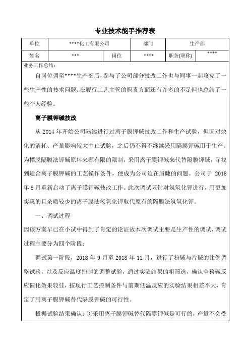 专业技术能手推荐表