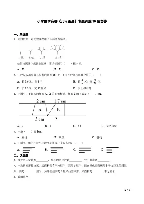小学数学竞赛《几何图形》专题训练30题含答