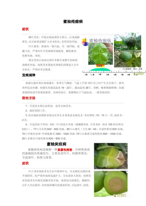 蜜柚主要病虫害及防治措施