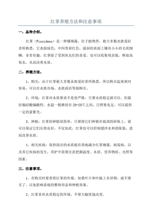红掌养殖方法和注意事项