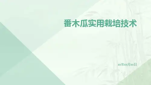 番木瓜实用栽培技术