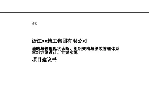 精工集团有限公司组织架构与绩效管理项目建议书